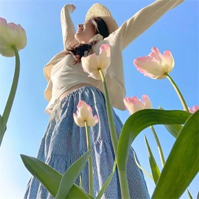虫林大作战