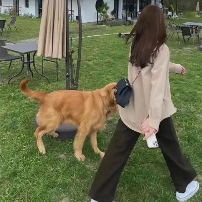 少女革命:思春期默示录
